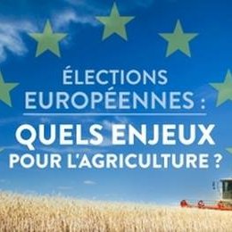 élections européennes enjeux agricultures RCF Anjou